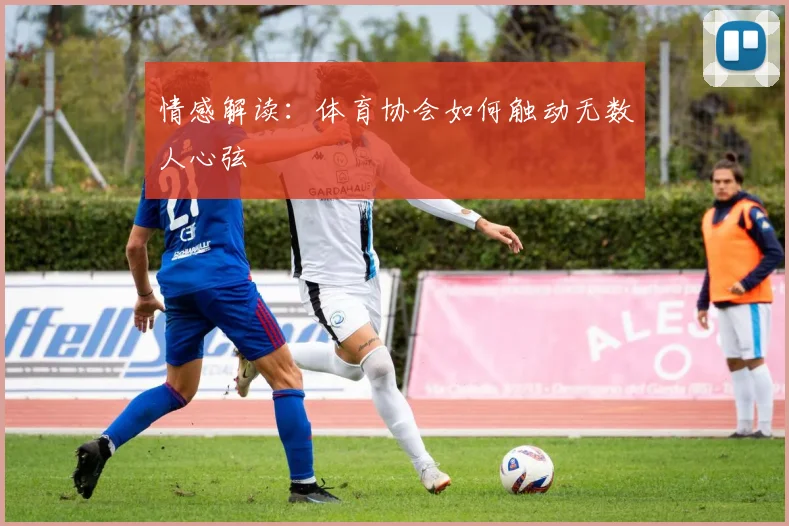 情感解读：体育协会如何触动无数人心弦